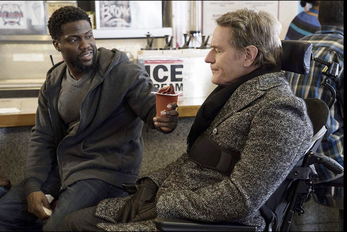 Hairlesswalrus's tweet photo. Take the pudding @BryanCranston https://t.co/JTXzsmkeyi