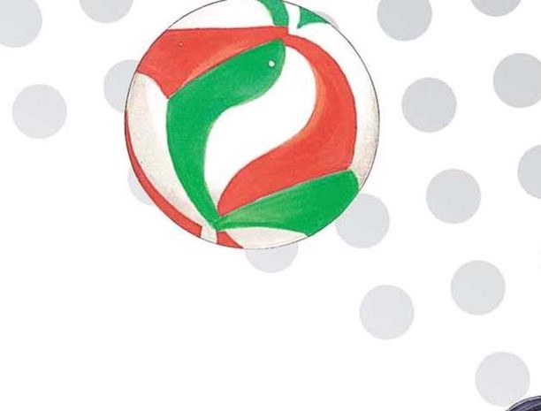 Molten Volleyball ❁ tweet media