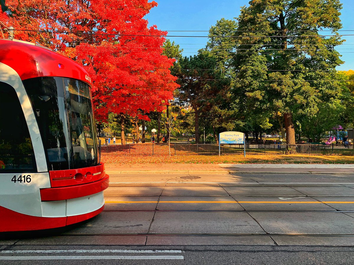 RyanJHobson's tweet image. Streetcar into fall 🍂🍁
@blogTO #Toronto #fallTO #fall