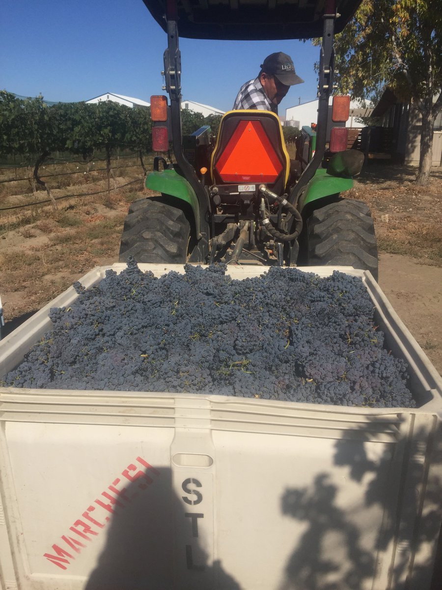 New Beginnings for Jovinea Cellars wineguymike.com/2020/10/04/new… via <a href="/WineGuyMike/">WineGuyMike</a> #wine #Idaho #winecountry