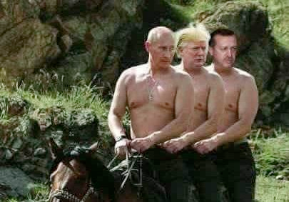 DarthErdogan's tweet photo. #ProudBoys https://t.co/zNIHtI3xip