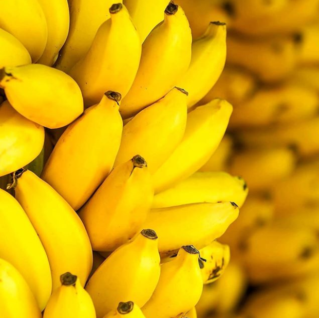 FAOAmericas's tweet photo. 🤔 Para todos los que aman la fruta, especialmente los banano, ¿Sabes cuántas variedades de 🍌 hay en el 🌎? 👇
🍌

🍌

🍌 https://t.co/CH8kQJgrqg