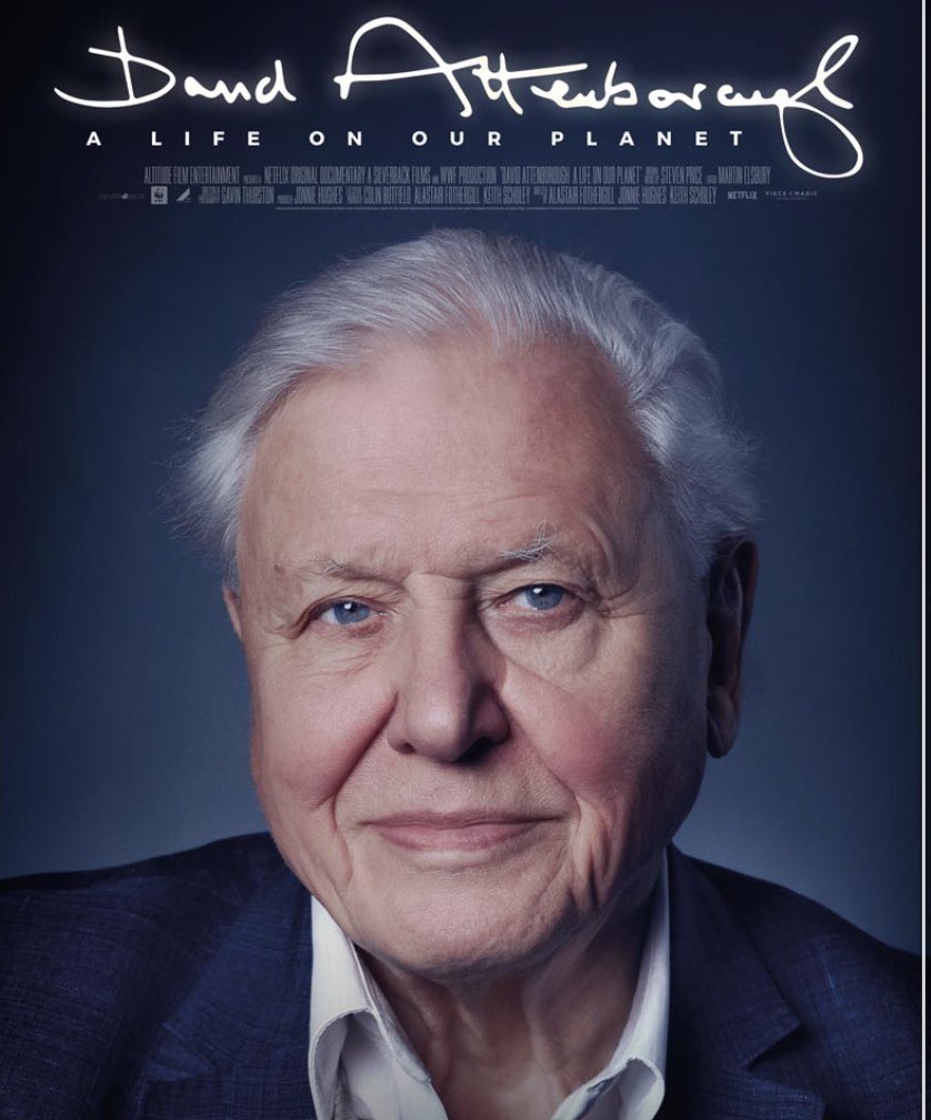 MadsAlbers's tweet photo. A strong recommendation to use 1 hour and 23 minutes of your day with David Attenborough: A Life on Our Planet 🌍 #Netflix https://t.co/SbiDYjsFCW