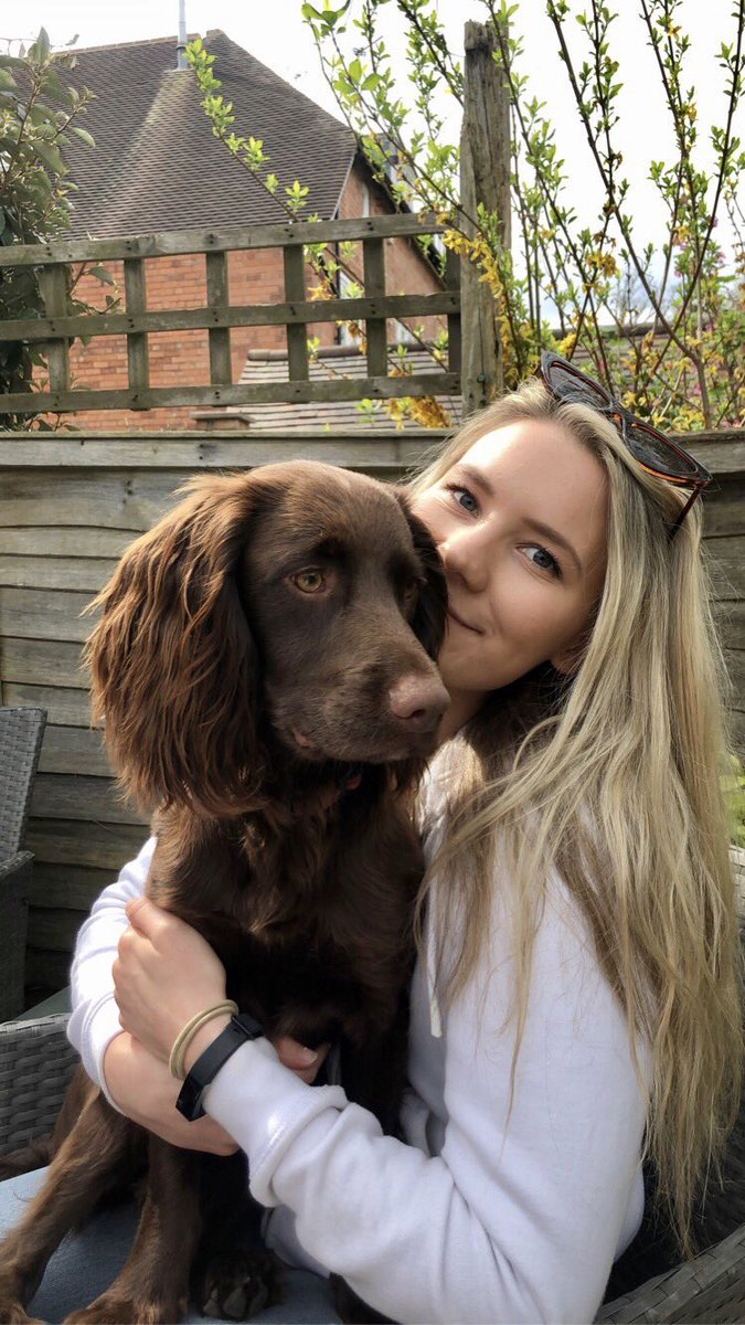 RuthPearce18's tweet photo. PLEASE SHARE... Coco our family dog was stolen from Moseley, Birmingham on Thursday 01/10. She’s a 16 month chocolate sprocker who means everything to our family🥺 please share as much as possible so we can bring Coco home💔 #findcoco https://t.co/shOQFzagII
