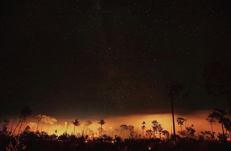 Amazonía, Brasil. 2020

Otra foto del gigante que se hizo selva: @victormoriyama