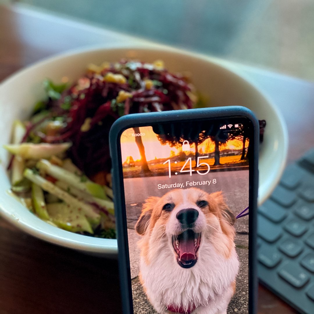 myassembli's tweet image. They can we as cute as a button or as big as an elephant, literally. We want to recognize all wonderful living creatures on #WorldAnimalDay2020! 
Retweet for the #love of #animals!
#MyAssembli