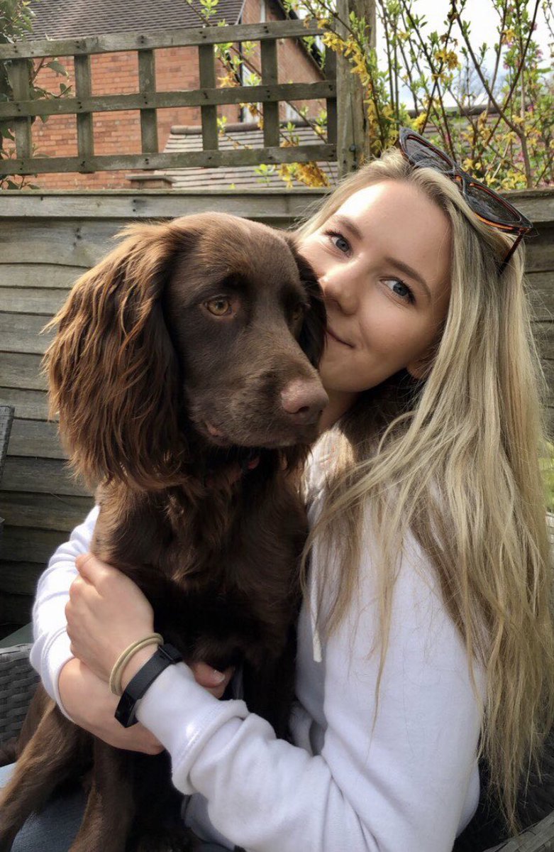 Please share &amp; retweet to locate and return Coco stolen today birminghammail.co.uk/news/midlands-… #FindCoco #Birmingham #STOLEN <a href="/bethpearce98/">Beth</a>