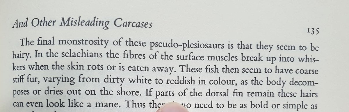 Per inciso, "pseudo-plesiosauro" è spesso attribuito all'autore Daniel Cohen (nota: non l'economista francese Daniel Cohen).  Ma questo non è giusto: è stato usato da Bernard Heuvelmans nel suo Le Grand Serpent de Mer del 1965 (e nella sua traduzione inglese In the Wake of the Sea-Serpents)...