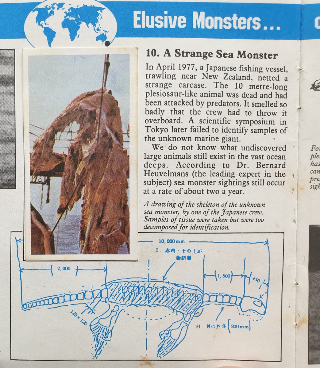 Naturalmente, ci sono casi di mistificazione là fuori nella letteratura "paranormale"... eccone uno classico dal libro PG Tips del 1988 Unexplained Mystery of the World, dell'ex editore di @forteantimes Robert Rickard... #monsters #cryptozoology