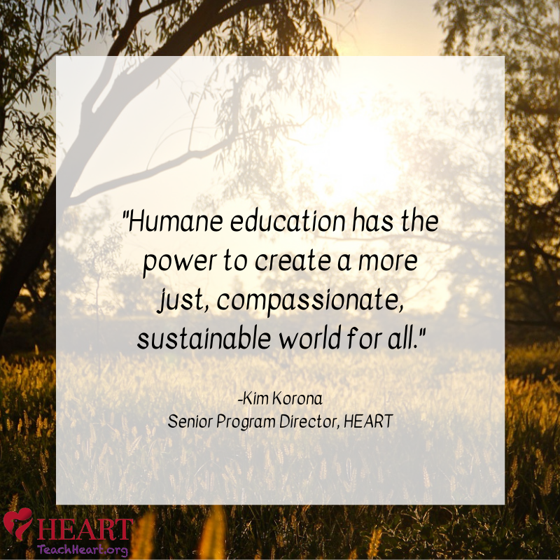 teachhumane's tweet image. 