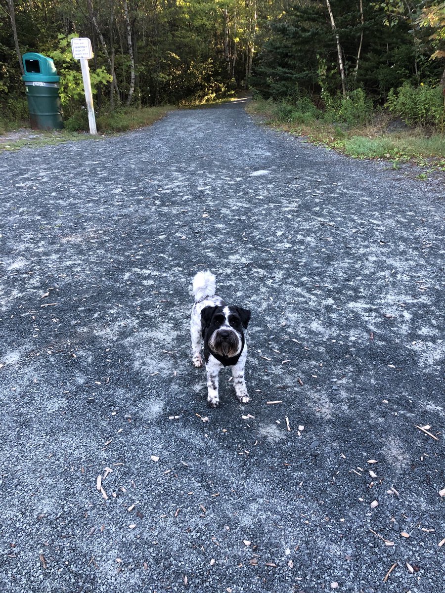 I’m at the crossroads here!