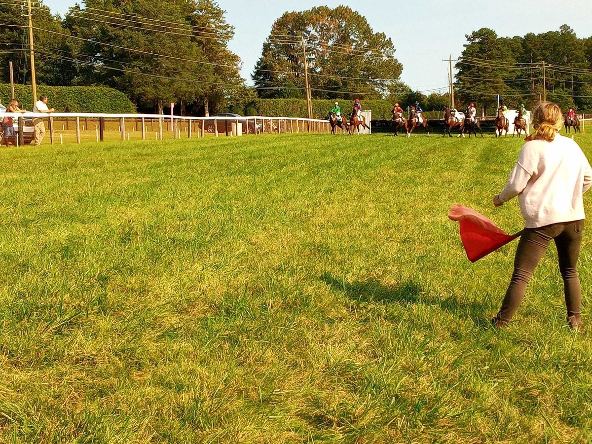 JumpingwithNSA's tweet photo. And they're off! The start of the fifth race, the apprentice rider hurdle at @foxfieldraces . That's assistant starter Beverly Adcock.
#foxfieldraces
#steeplechase
#gojumpracing
#jumpintofall https://t.co/emYwFOcUR1