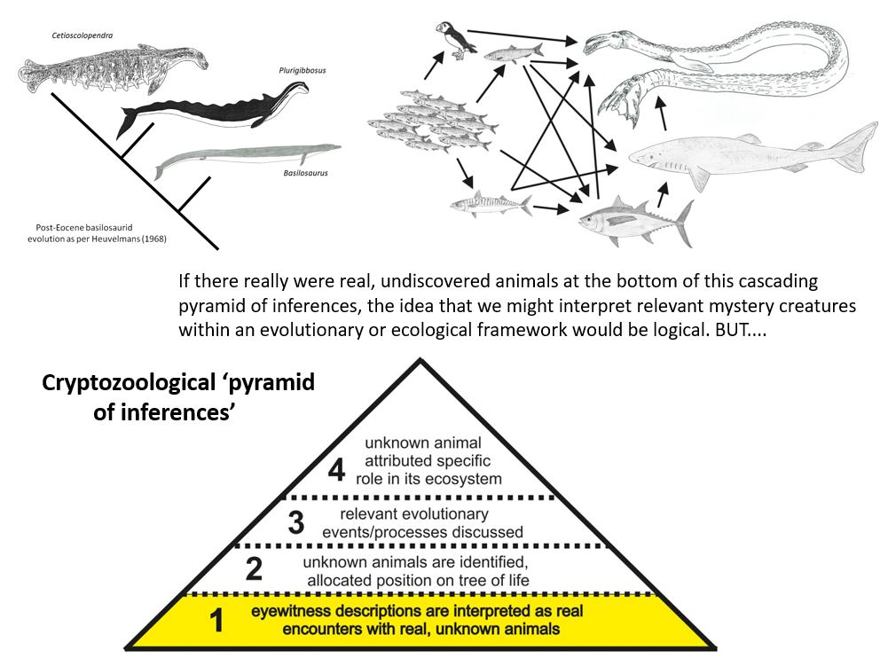 .... trasformando creature riportate da un aneddoto in animali "ragionevoli" con un retroscena ecologico ed evolutivo, nonostante il fatto che tali sforzi siano destinati al fallimento... #cryptozoology #seamonsters