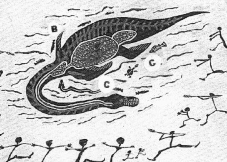 ... che (basato su alcune illustrazioni di quelli che dice Goertzen erano plesiosauri, disegnati da persone antiche come gli indigeni australiani: guarda "B" qui) Goertzen dice che sono una caratteristica dei plesiosauri ...