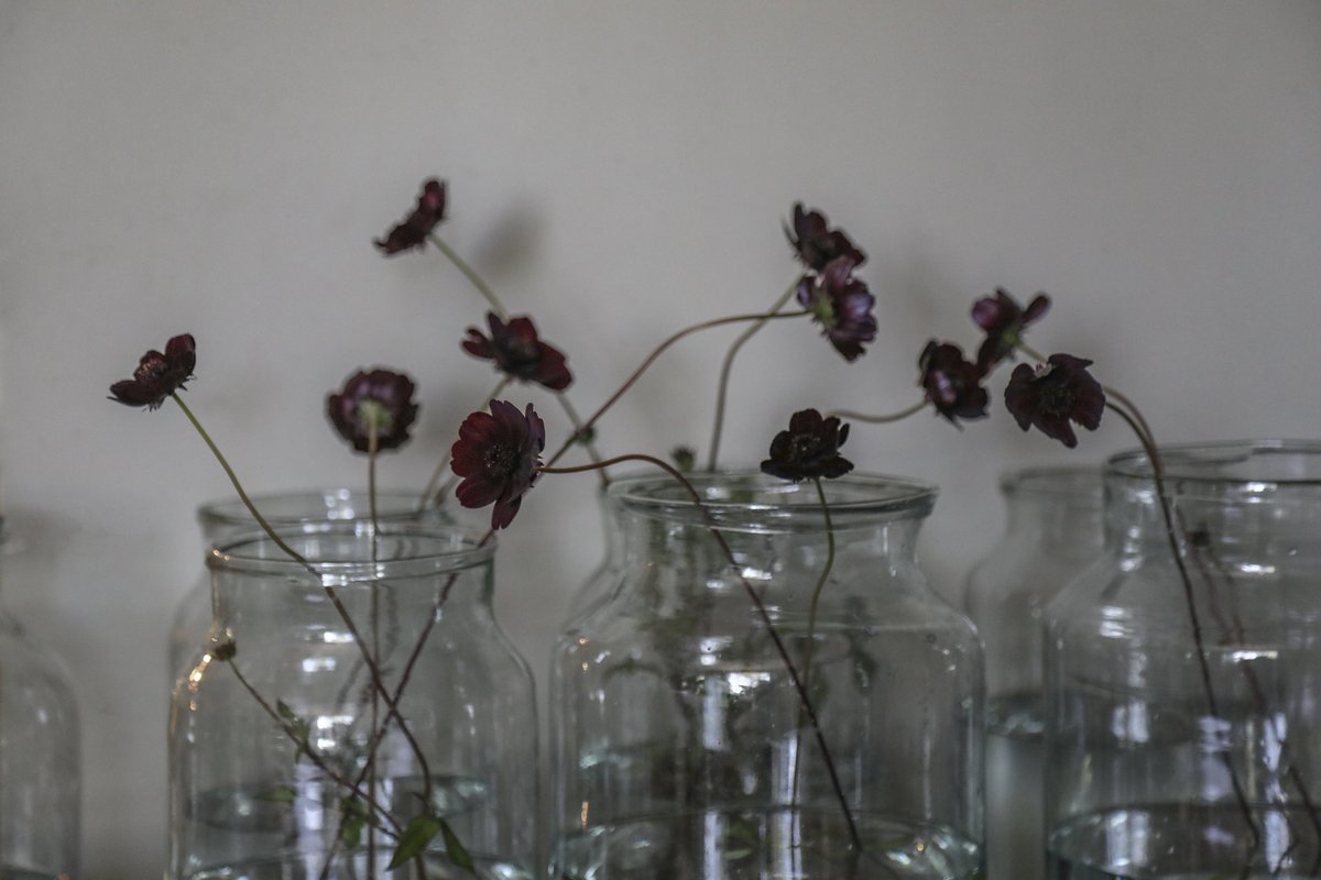 McQueens Flowers tweet media