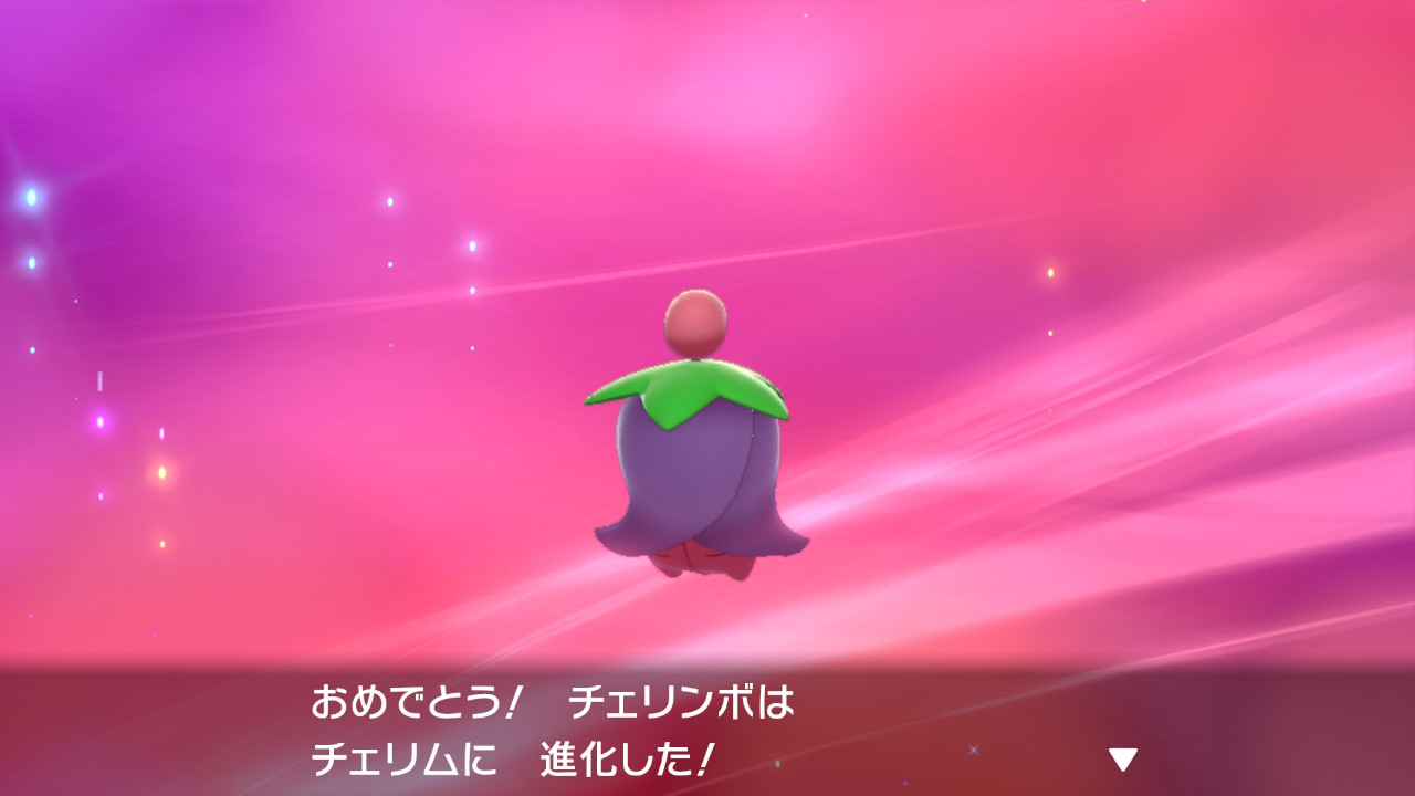 22卒陰の軍勢 残り85匹 天候で姿が変化するポケモン 専用特性 フラワーギフト を持っている チェリム ポケモン図鑑朝チャレ ポケモン剣盾 早起きチャレンジ T Co Nleyslx7mq Twitter