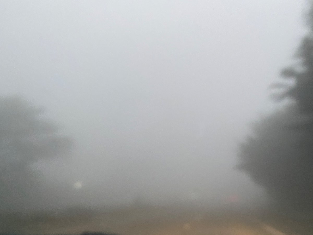 ElaineLeung4's tweet image. It’s just a tad #foggy in #DalyCity on Skyline Blvd... The pic that’s slightly clearer is SF near #LakeMerced. Gotta love the #fog! 

#SF #BayArea #weather #CAwx #TTWN #TTWNSF #TotalTraffic #TotalTrafficSF