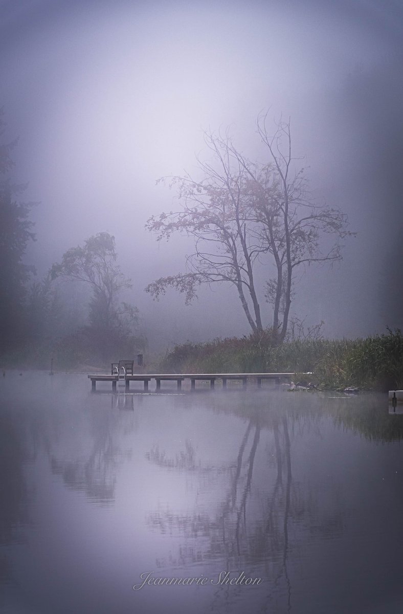 A bit haunting, a touch spooky and 100% #SoNorthwest. How have you liked or disliked our weekend fog? Happy fall, everyone! 🤍

Photo: Jeanmarie Shelton, taken at Cottage Lake on Friday

#KOMONews #pnw #pnwondland #northwestisbest #wawx
