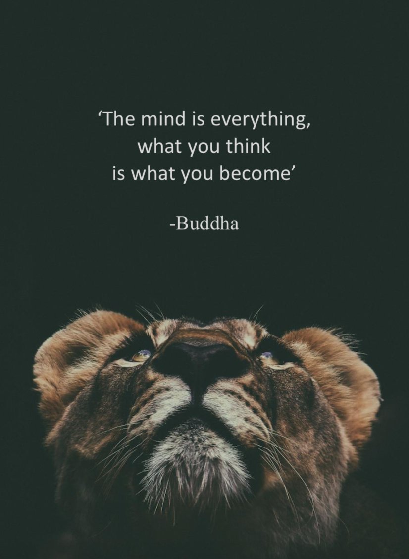 Happi Head Co. tweet media