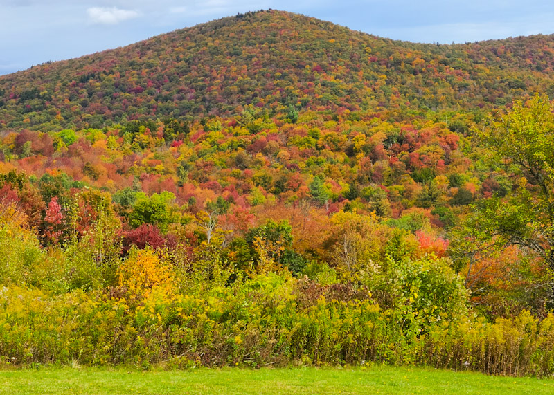 FoliageNetwork's tweet photo. For the 2nd day in a row, the weather did not cooperate. We headed east to the Berkshire Mountains in western Massachusetts. Here are a few pics from today. More foliage info at https://t.co/obZR6KWPx0!  #fallfoliage #fall2020 #foliagenetwork https://t.co/TQu9NPTlrM