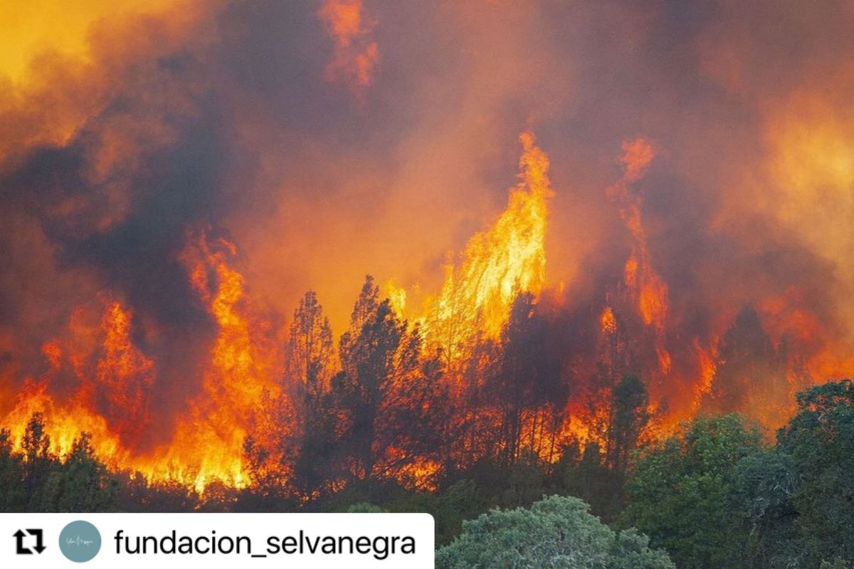 El planeta también cuenta con nosotros a la hora de votar. #VotaPorTuPlaneta #TuVotoCuenta <a href="/FundSelvaNegra/">Selva Negra</a>