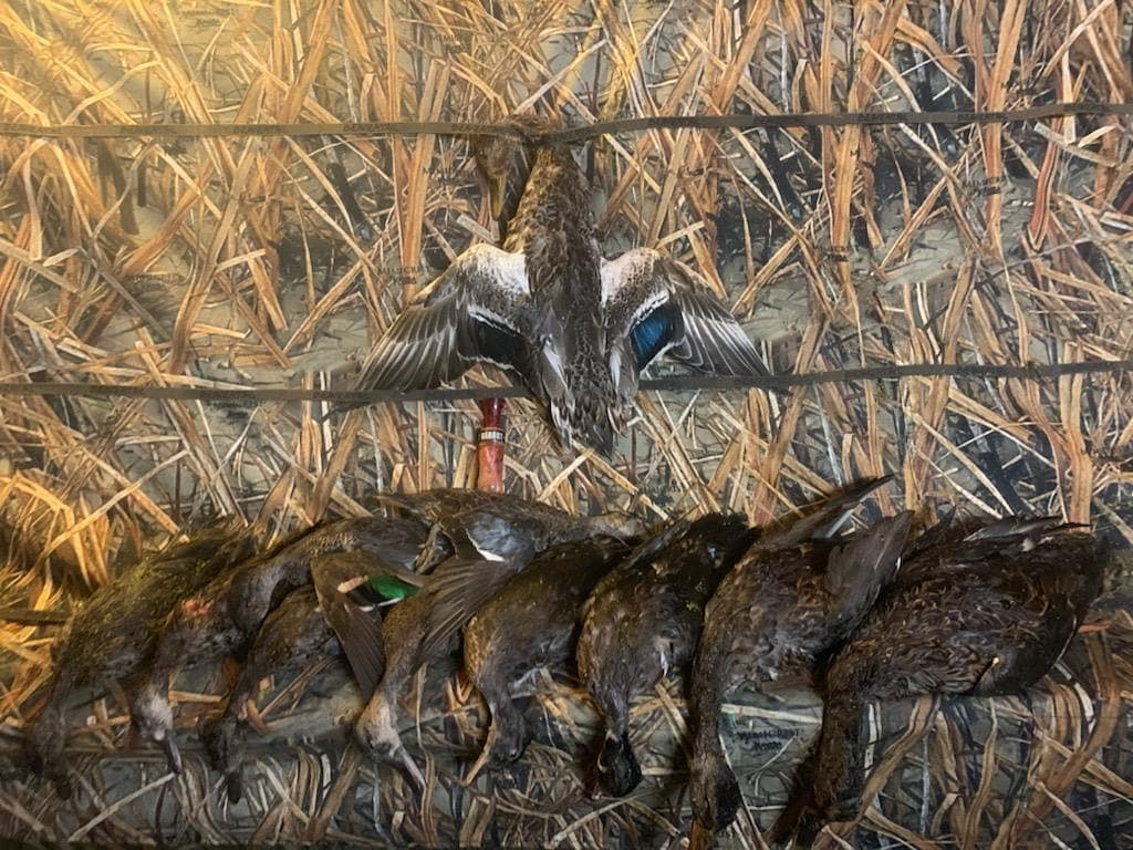 Awesome job from my pro staff in wisconsin.. awesome pictures Jacob.
