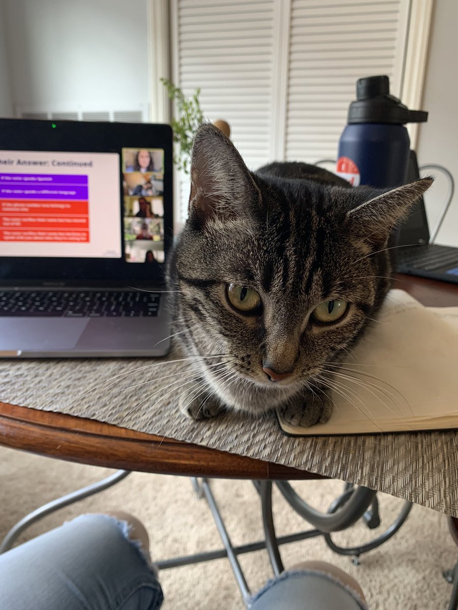 Shoutout to the woman who commented during @KataSolow’s dialer debrief that her cat kept trying to “help” her make calls. Ma’am I hear you and I see you.