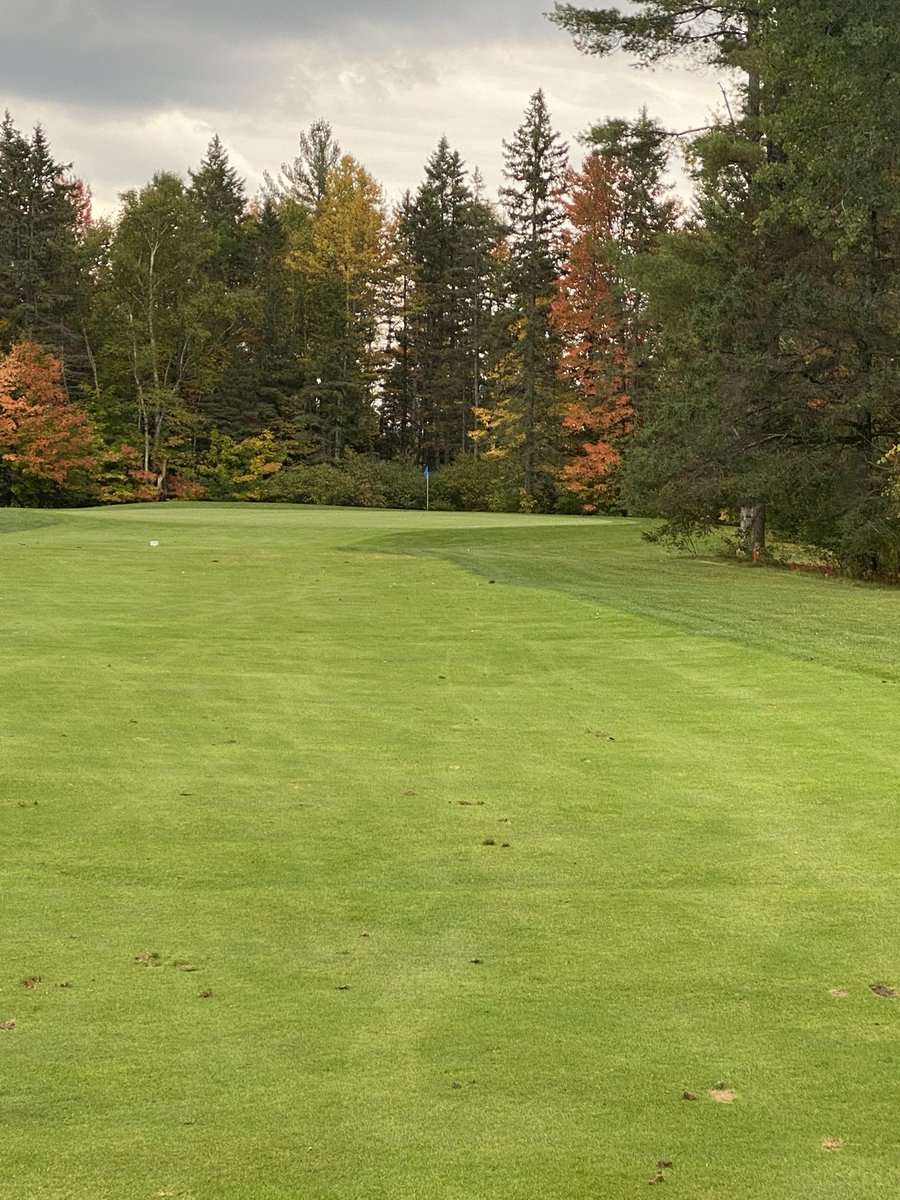 Fabulous afternoon <a href="/GreensmereGC/">Greensmere Golf Club</a> course (Premiere ) in great shape.