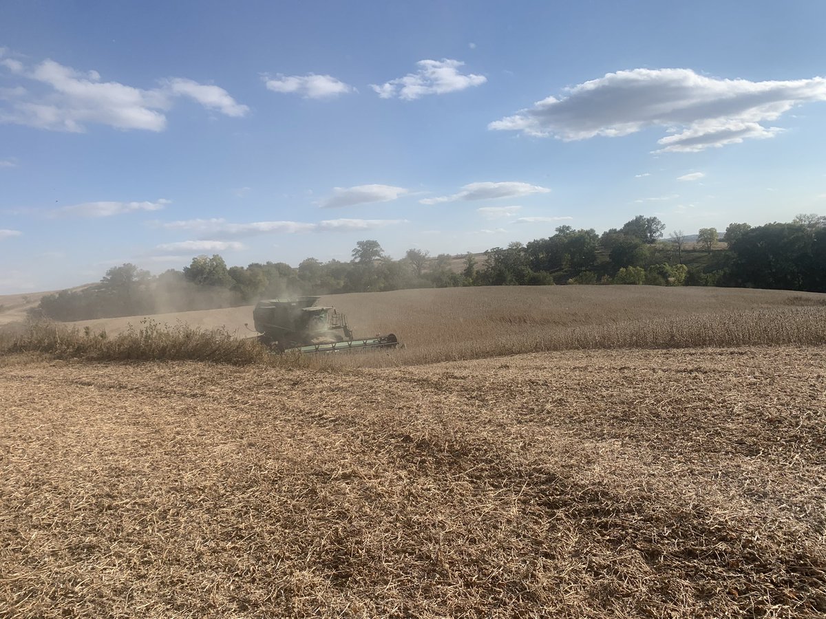 KellyGarrett75's tweet photo. A neighboring family has 3 members in the hospital with Covid. They had a fair amount of beans left so a couple of us showed up to help. They didn’t ask for help but this is how we should help our fellow man. No politics involved. Just be a good person. https://t.co/ppXsBk5oPj