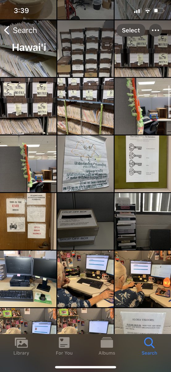 Nudibranch Boomtown tweet media