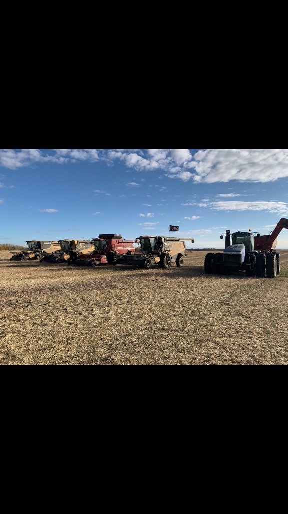 She’s def a “rose amongst the thorns “ #harvest20 #glaslynsask