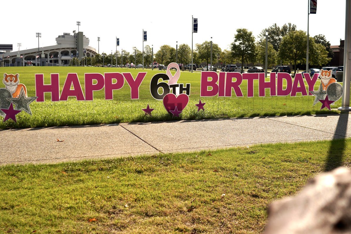 Sista Strut tweet media