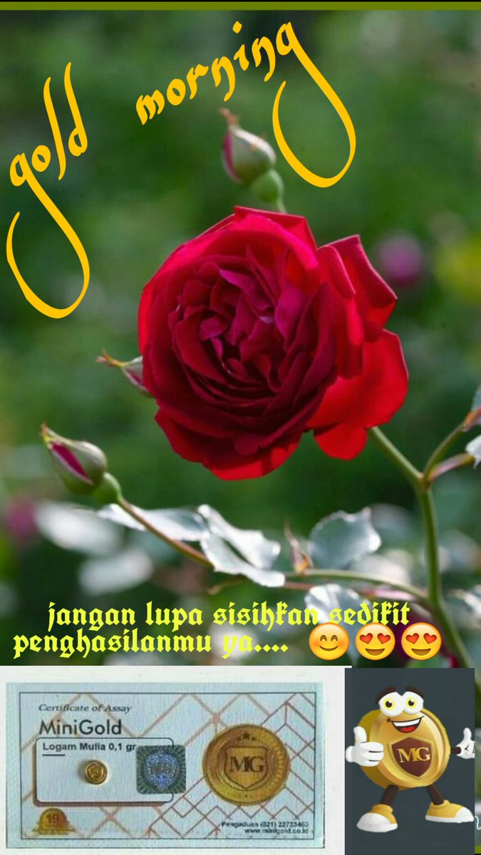 TioMiniGold1's tweet photo. Selamat pagi... https://t.co/cYJafOm1VR