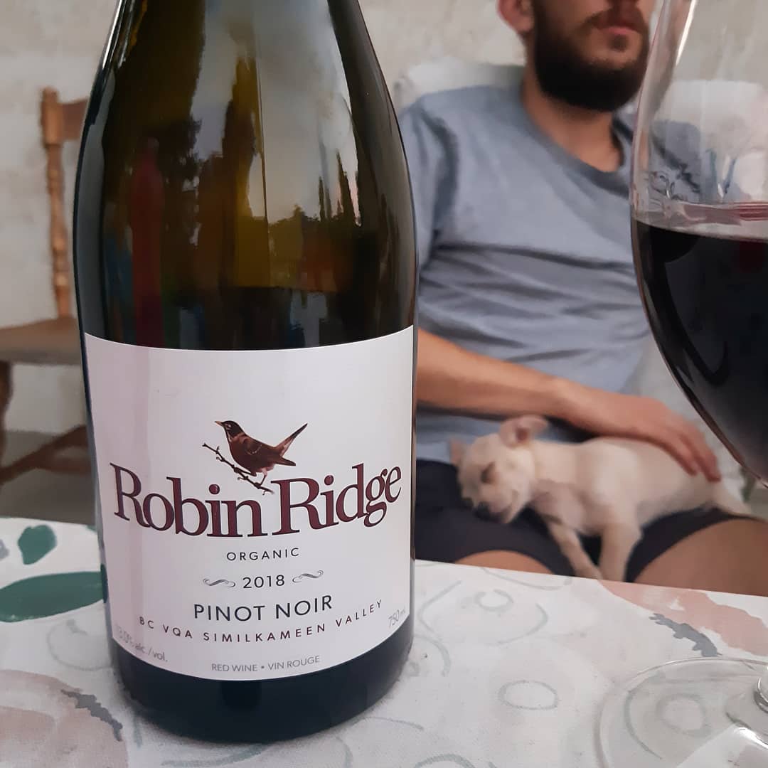 Still too exhausted for it to be Monday tomorrow? We've got you covered! Crack open a bottle of Organic Pinot Noir and escape into it's delicious flavours, even just for tonight. 🍷
Visit us in the tasting room, daily, from 10-5:30, or shop online at robinridgewinery.com