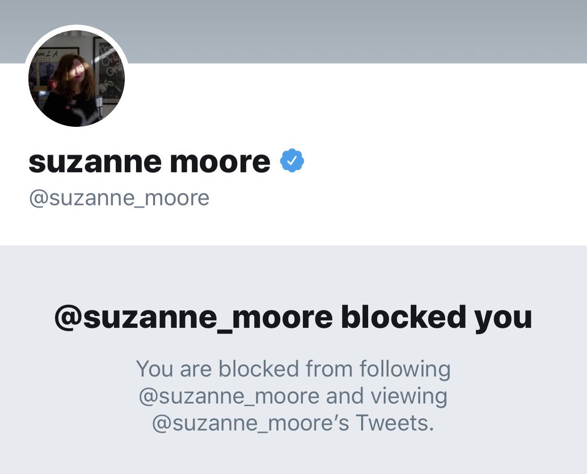 Nobody at the Guardian cares that people regularly come into my DMs and accuse me of being a misogynist, a sexist, and a rapist (these all in the last twenty-four hours). Suzanne Moore has blocked me, even.