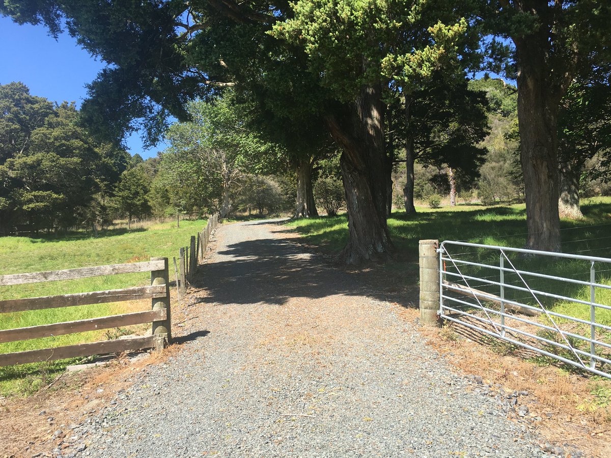 Suz Burgess tweet media