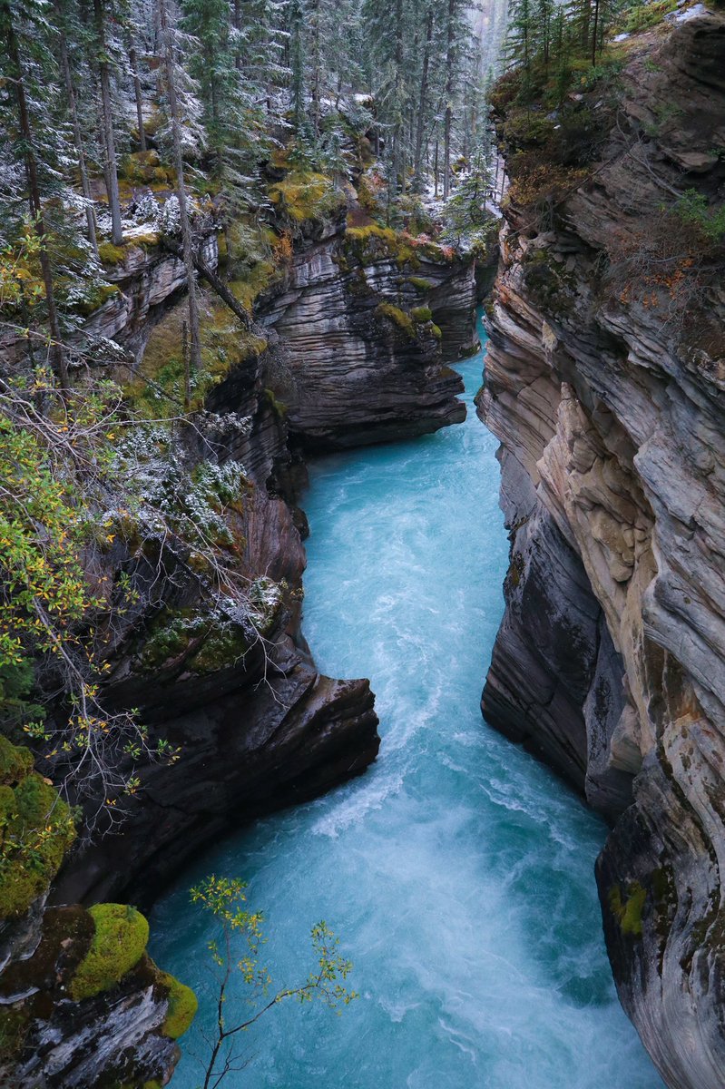 StephenGoodier's tweet image. Got a few new photography people following me. Super cool. Figured I’d introduce myself a bit.

I’m Stephen. A Canadian/American dude living in Colorado. Love traveling hiking, and photography. I’m a construction worker during the week and do photography for fun on weekends.