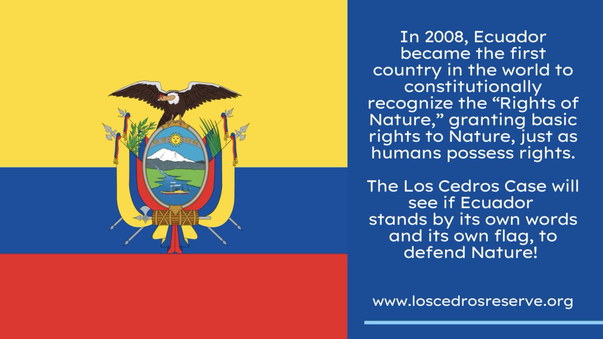 6 million acres in Ecuador could be protected from the imminent threat of mining in 186 protected areas. Imagine, then if #EarthJurisprudence became enshrined everywhere. <a href="/CorteConstEcu/">Corte Constitucional</a> please save key habitats. No @Cornerstone_CGP #JusticiaLosCedros <a href="/drvandanashiva/">Dr. Vandana Shiva</a>