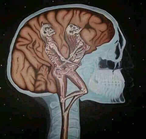 wows1's tweet photo. @HouriaOu دماغي 😂 https://t.co/pRqNJUQxtF
