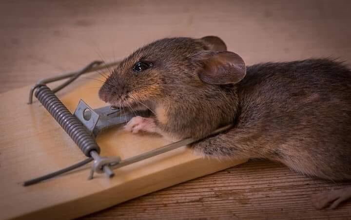 akatech415's tweet photo. Deux semaines Mangui lay deg ci armoire bi.. bilay bou mala diapei di ngua xam ni lepeu deug la lou raw li 👇🏾 lalay deff.. https://t.co/bUl4IlkIKF
