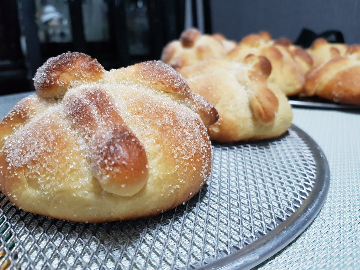 AlmaMia_Postres's tweet photo. Llego ya la temporada de Pan de Muerto!
Animate a probarlo con nosotros 
#ArcosDelAlba #CuautitlanIzcalli #AlmaMiaPostreria #Panes #Postres #PandeMuerto https://t.co/WUsxFuOkOS
