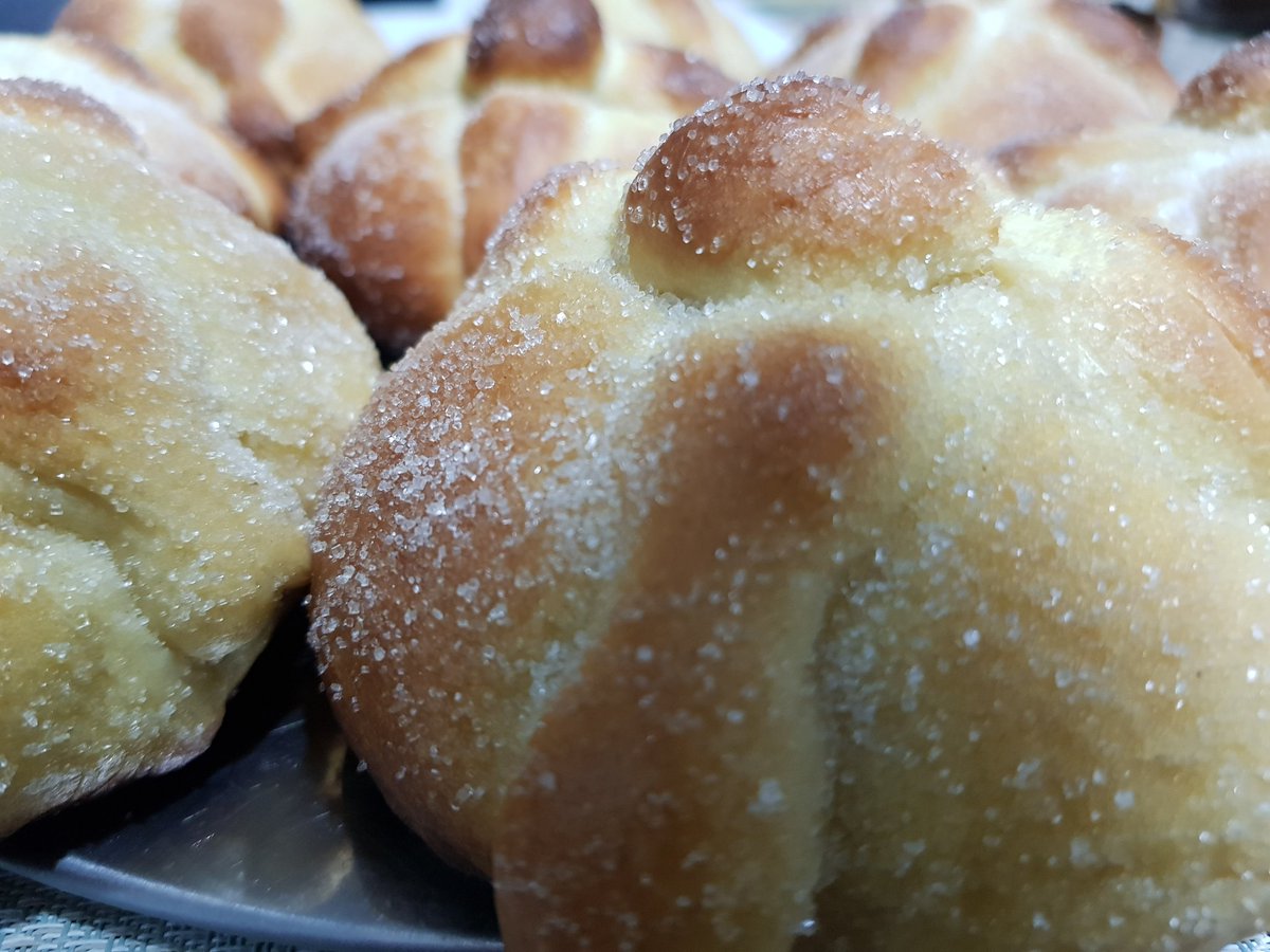 AlmaMia_Postres's tweet photo. Llego ya la temporada de Pan de Muerto!
Animate a probarlo con nosotros 
#ArcosDelAlba #CuautitlanIzcalli #AlmaMiaPostreria #Panes #Postres #PandeMuerto https://t.co/WUsxFuOkOS