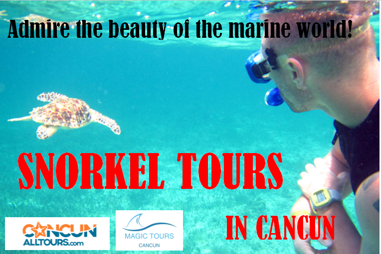 all_cancun's tweet photo. Enjoy the best #SnorkelingTours in #Cancun, don't miss them and book now !!

For more information and reservations by line, just click on this link:
https://t.co/3cGCxUrAgr https://t.co/K8c5b7ATV6