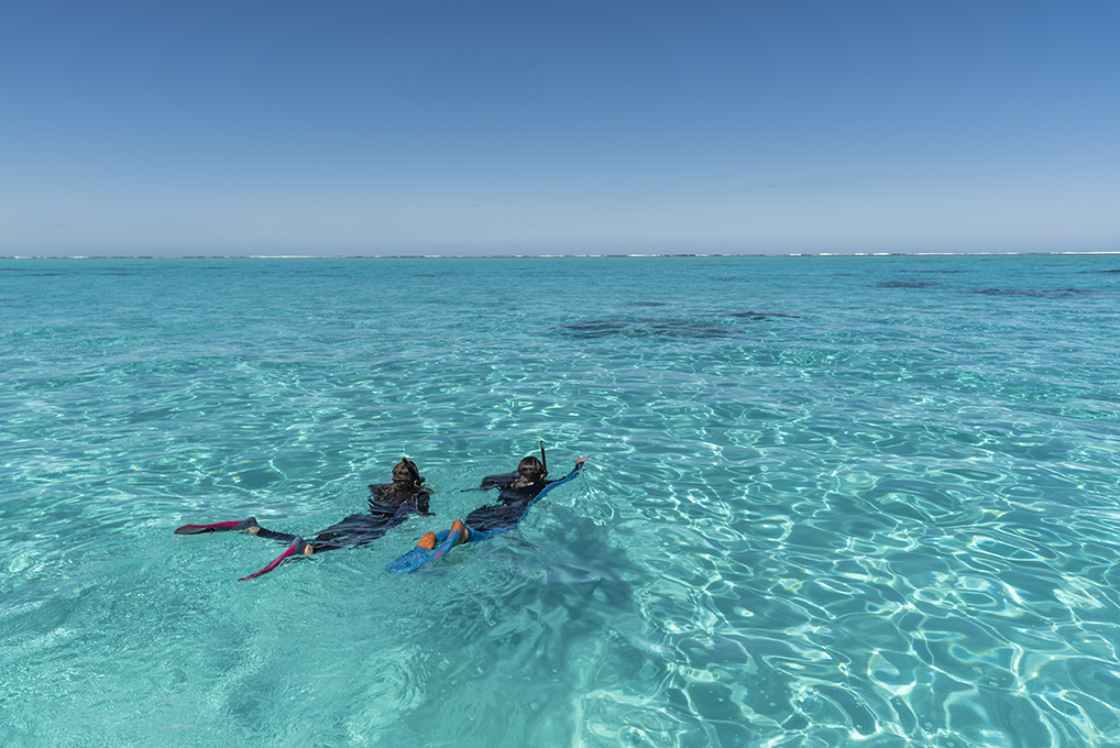 Les offres, animations et évènements à Bourail en octobre 😙 - mailchi.mp/bourailtourism…