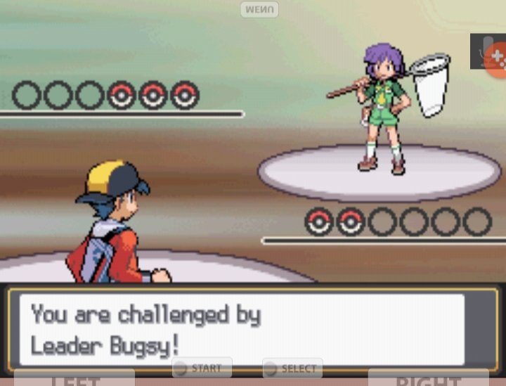 Second Gym downBugsy didn't stand a chance against Chomp's Ice Fang.Kakuna did poison Chomp a little but no sweat.