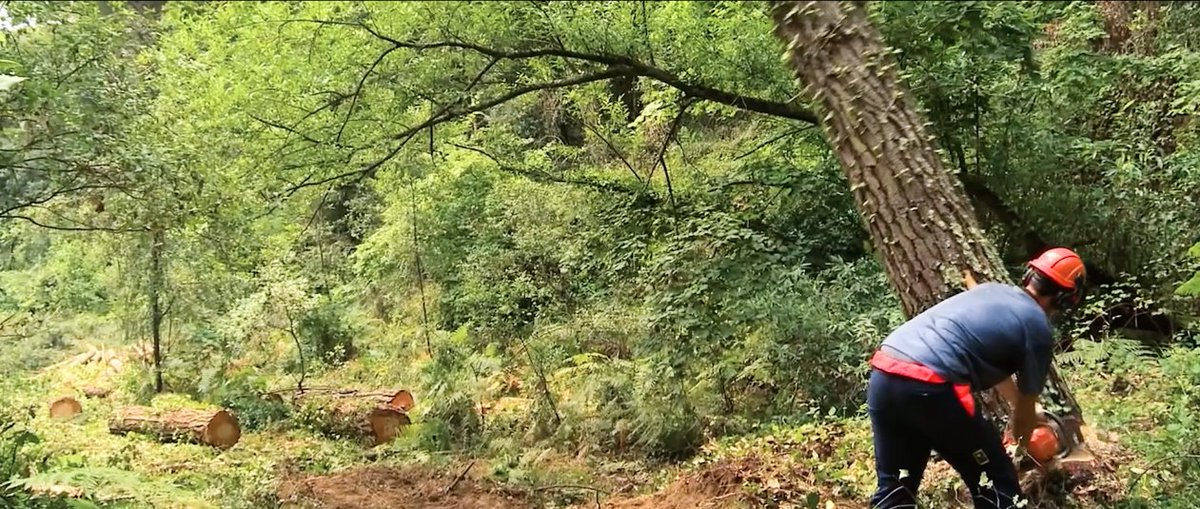 🪵L'aprofitament de la biomassa permet una gestió forestal sostenible.
⚡️Ja està disponible la 2a càpsula de la campanya "Cuidem el #bosc, aprofitem la #biomassa", del projecte PECT #BCNSmartRural
▶️Mira el vídeo aquí 👉youtu.be/uOmdSAn9F9w
Pla Biomassa km