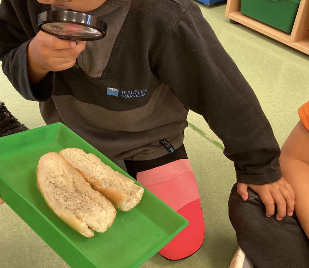 sareta05's tweet photo. A #MOPI5 de #JEPoblesec aprenem experimentant, comprovem perquè és important tenir les mans netes, fem hipòtesis i comprovem els resultats! #experiments #paflorit #mansnetes #aprenemfent https://t.co/khNEQMnLaE