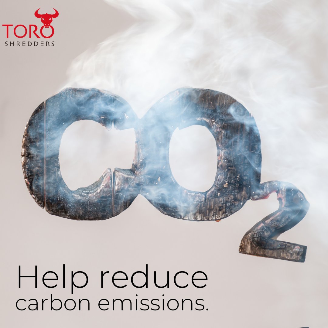 ToroShredders's tweet photo. We take environmental awareness seriously and will ensure to help your business cut down on carbon emissions.

Find out more about how your business can benefit by using our services: https://t.co/nfjn2wYxm2
•
#ToroShredders #EnvironmentallyFriendly #GoGreen #green #ecofriendly https://t.co/wyhvwWhd2X