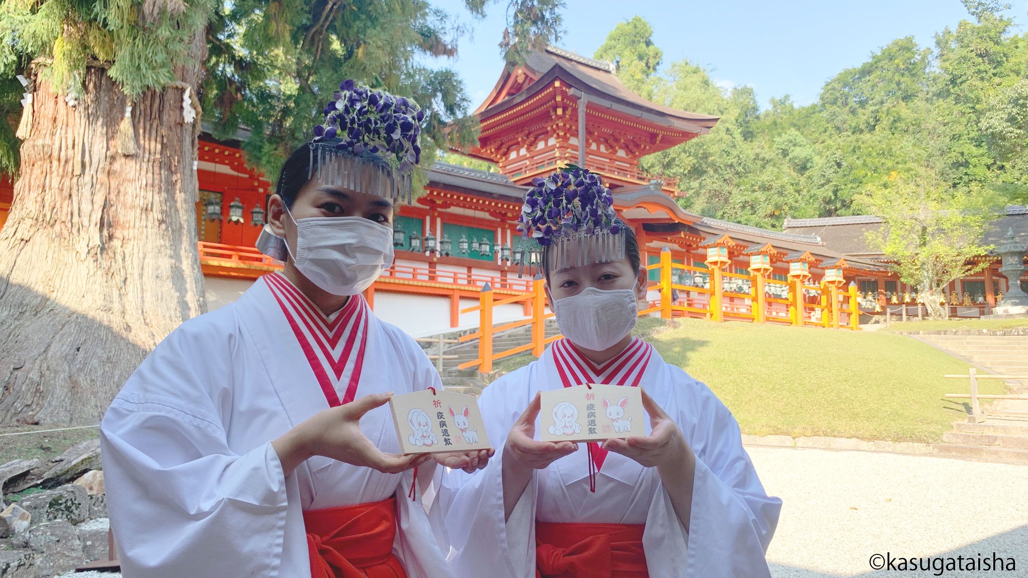 春日大社 Kasugataisha Shrine 公式 على تويتر 本日 にしだあつこさん Atsuko Nishida よりアマビエと 春日大社ゆかりの白鹿のイラストの奉納があり 奉告祭が行われました このイラストを元に制作した疫病退散絵馬を10 6より授与いたします