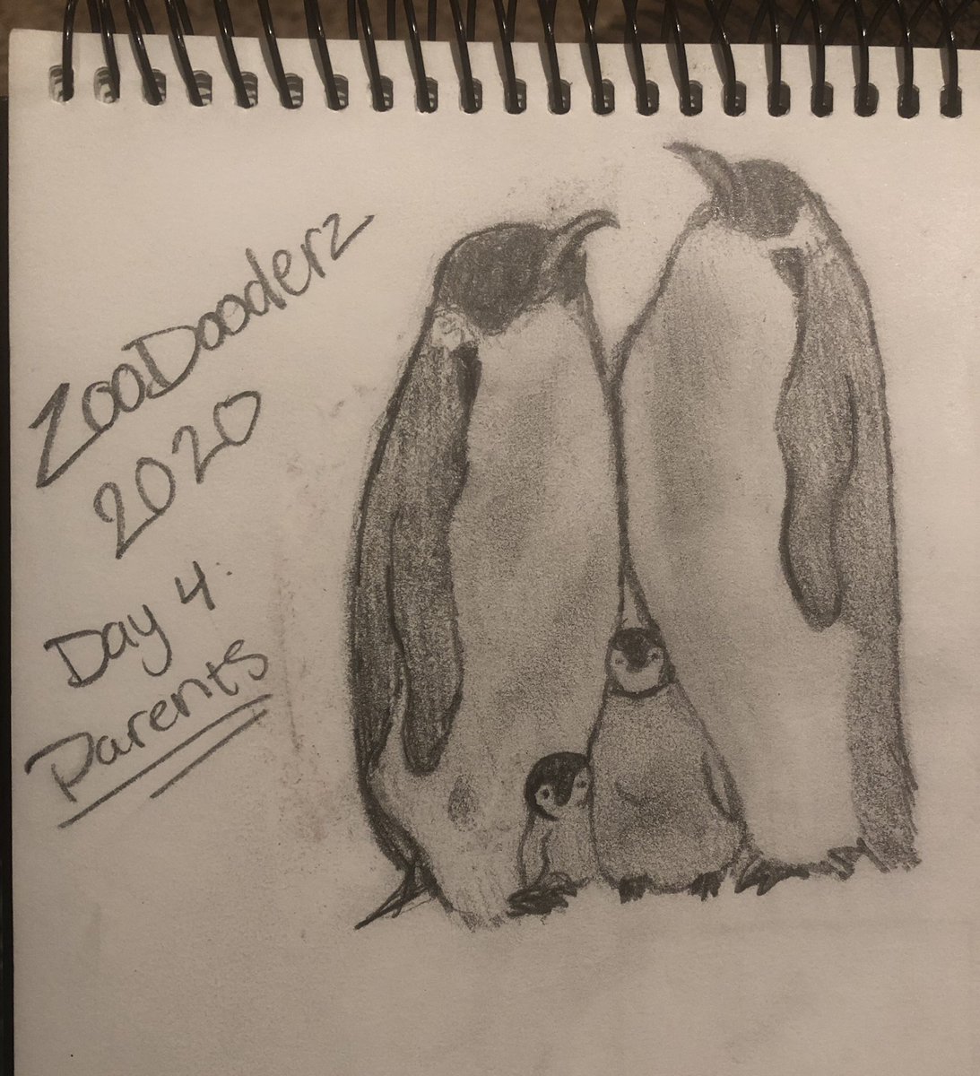 Day 4: parents I immediately thought of penguins because these birds, typically monogamous, both take part in raising the offspring. They’ve also been known to foster chicks of other mating pairs. Gay penguins have fostered and raised chicks before  